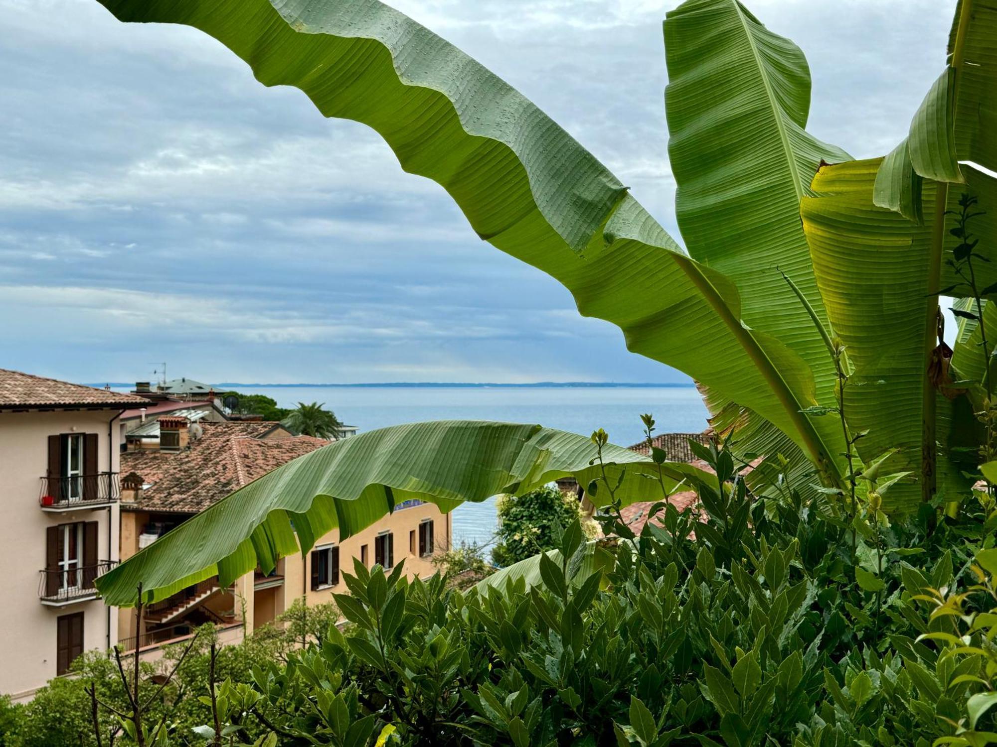 Casa Dolce Vita, Seeblick Toscolano-Maderno Esterno foto